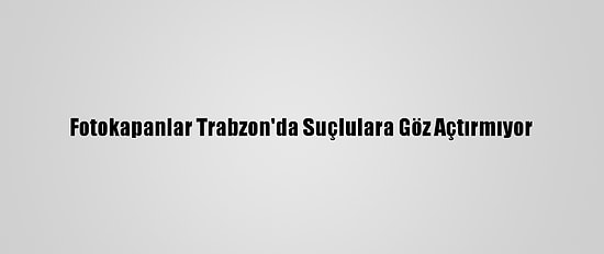 Fotokapanlar Trabzon'da Suçlulara Göz Açtırmıyor