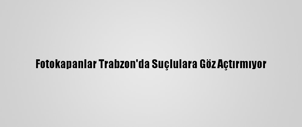 Fotokapanlar Trabzon'da Suçlulara Göz Açtırmıyor