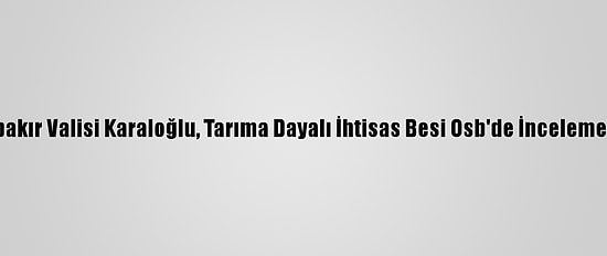 Diyarbakır Valisi Karaloğlu, Tarıma Dayalı İhtisas Besi Osb'de İnceleme Yaptı: