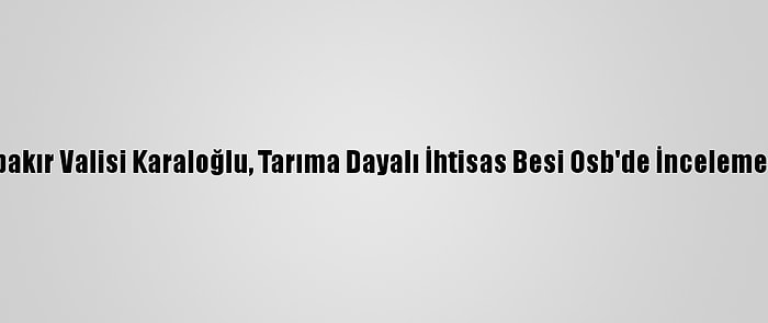 Diyarbakır Valisi Karaloğlu, Tarıma Dayalı İhtisas Besi Osb'de İnceleme Yaptı: