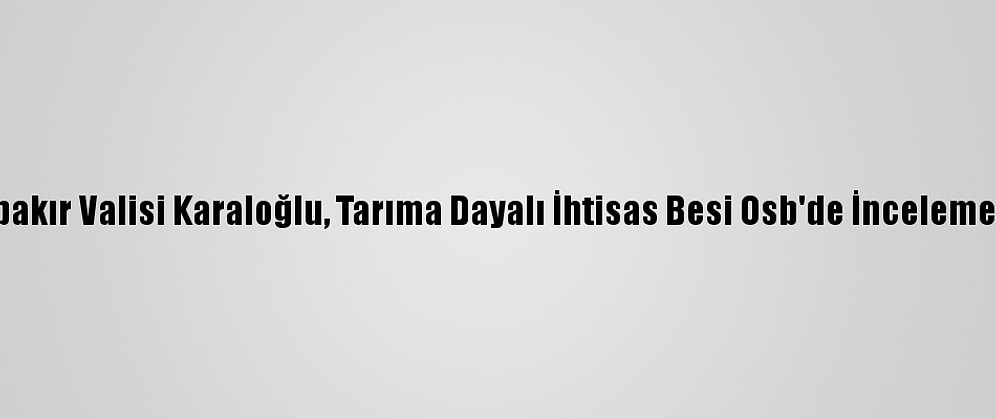 Diyarbakır Valisi Karaloğlu, Tarıma Dayalı İhtisas Besi Osb'de İnceleme Yaptı: