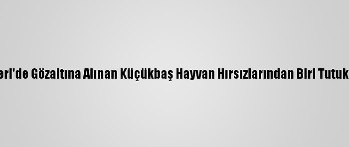 Kayseri'de Gözaltına Alınan Küçükbaş Hayvan Hırsızlarından Biri Tutuklandı