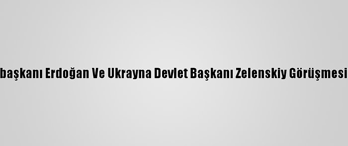 Cumhurbaşkanı Erdoğan Ve Ukrayna Devlet Başkanı Zelenskiy Görüşmesi Başladı