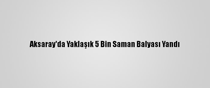 Aksaray'da Yaklaşık 5 Bin Saman Balyası Yandı