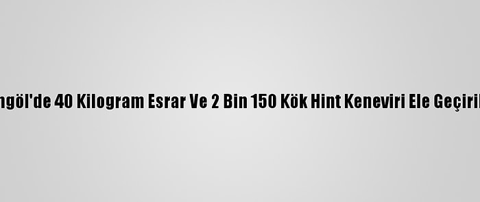 Bingöl'de 40 Kilogram Esrar Ve 2 Bin 150 Kök Hint Keneviri Ele Geçirildi