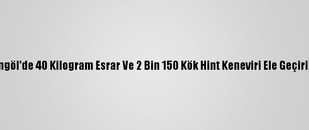 Bingöl'de 40 Kilogram Esrar Ve 2 Bin 150 Kök Hint Keneviri Ele Geçirildi