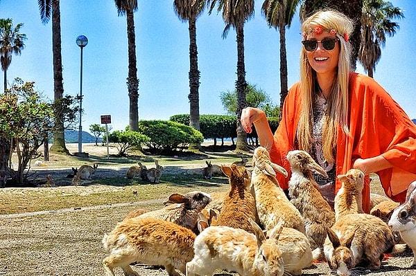 Tavşan nüfusu çok fazla olduğu için hepsi öldürülemedi ama 1971 yılında bir grup adaya 8 tavşan salıyor ve tavşanlar yeniden artmaya başlıyor.
