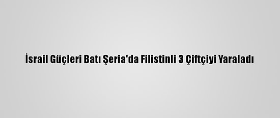 İsrail Güçleri Batı Şeria'da Filistinli 3 Çiftçiyi Yaraladı