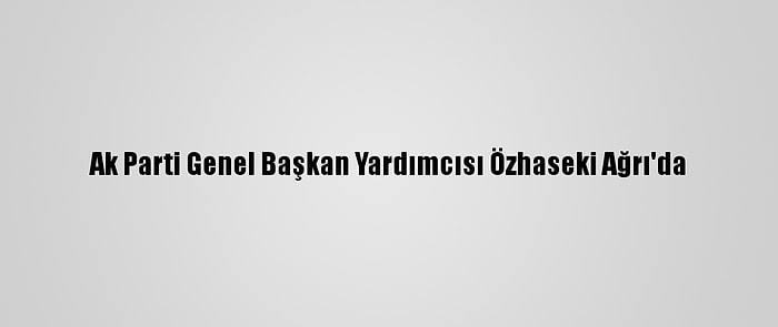 Ak Parti Genel Başkan Yardımcısı Özhaseki Ağrı'da