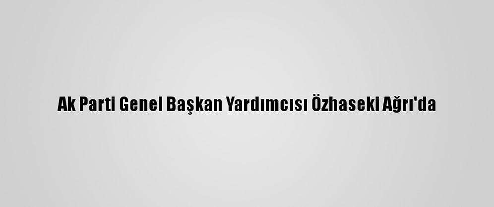 Ak Parti Genel Başkan Yardımcısı Özhaseki Ağrı'da