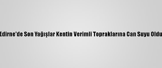 Edirne'de Son Yağışlar Kentin Verimli Topraklarına Can Suyu Oldu