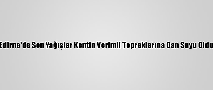 Edirne'de Son Yağışlar Kentin Verimli Topraklarına Can Suyu Oldu