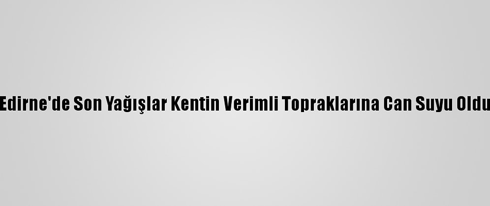 Edirne'de Son Yağışlar Kentin Verimli Topraklarına Can Suyu Oldu