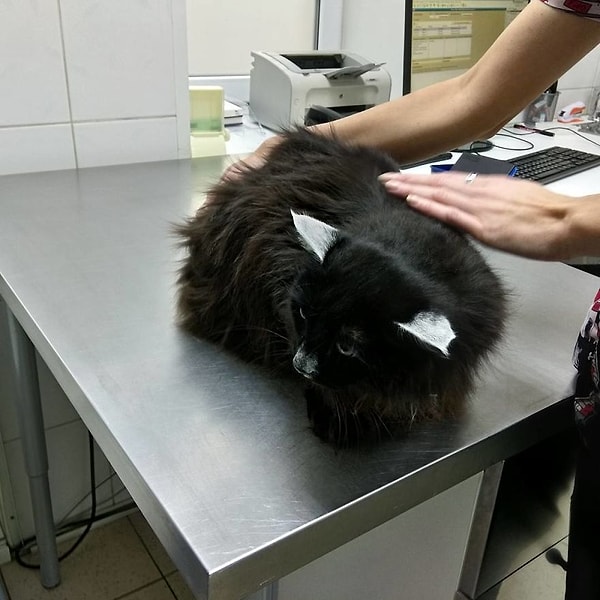 5. Установить защитные решетки на окна