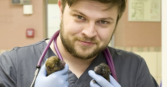 10 лучших советов от ветеринара, чтобы каждый питомец мог прожить долгую и счастливую жизнь