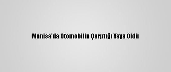 Manisa'da Otomobilin Çarptığı Yaya Öldü
