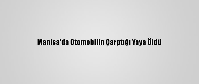 Manisa'da Otomobilin Çarptığı Yaya Öldü