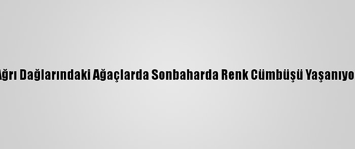 Ağrı Dağlarındaki Ağaçlarda Sonbaharda Renk Cümbüşü Yaşanıyor