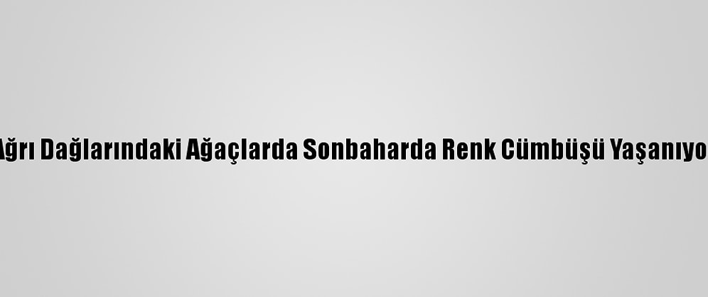 Ağrı Dağlarındaki Ağaçlarda Sonbaharda Renk Cümbüşü Yaşanıyor