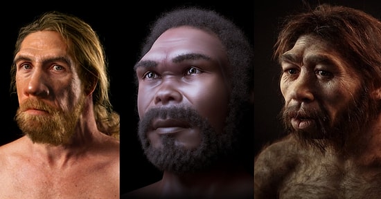 Uzaktan da Olsalar Homo Akrabalarımızı Ziyaret Etmeye Ne Dersiniz?