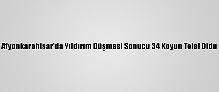 Afyonkarahisar'da Yıldırım Düşmesi Sonucu 34 Koyun Telef Oldu