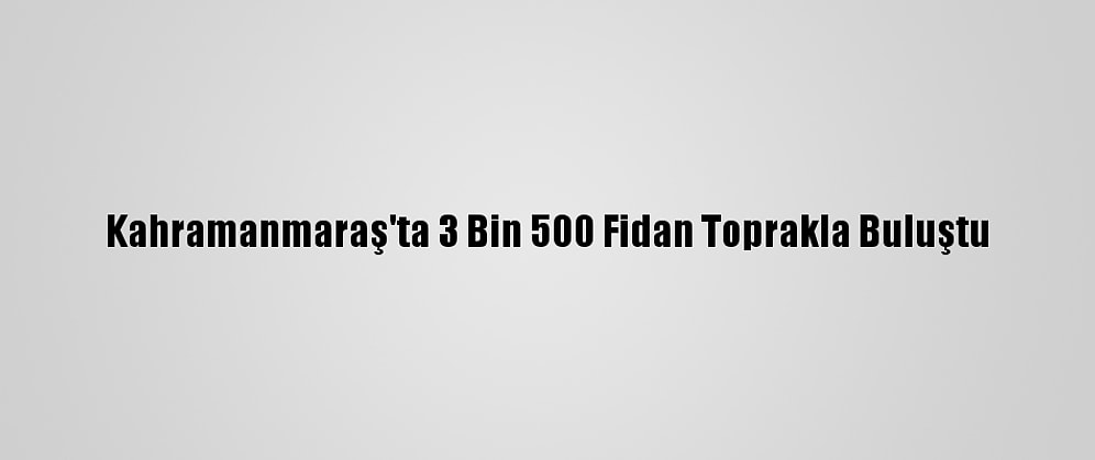 Kahramanmaraş'ta 3 Bin 500 Fidan Toprakla Buluştu