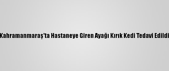 Kahramanmaraş'ta Hastaneye Giren Ayağı Kırık Kedi Tedavi Edildi