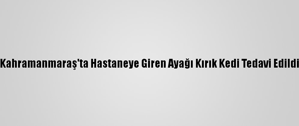 Kahramanmaraş'ta Hastaneye Giren Ayağı Kırık Kedi Tedavi Edildi