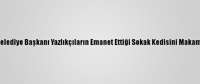 Keşan Belediye Başkanı Yazlıkçıların Emanet Ettiği Sokak Kedisini Makamına Aldı