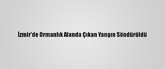 İzmir'de Ormanlık Alanda Çıkan Yangın Söndürüldü