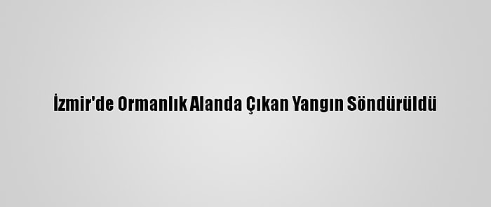 İzmir'de Ormanlık Alanda Çıkan Yangın Söndürüldü