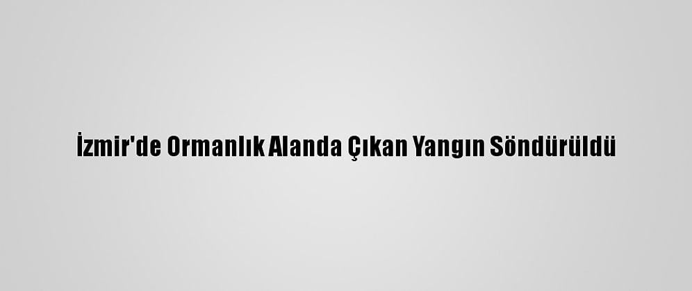 İzmir'de Ormanlık Alanda Çıkan Yangın Söndürüldü