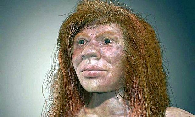 8. Homo Denisova (300 bin yıl önce)