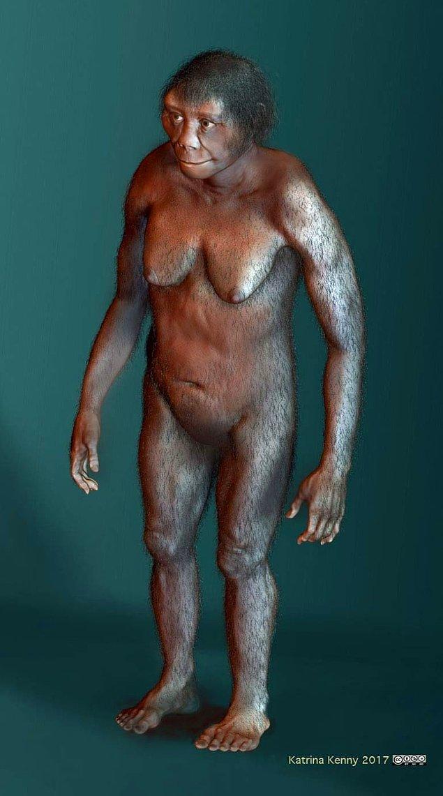 9. Homo Floresiensis (100 bin yıl önce)