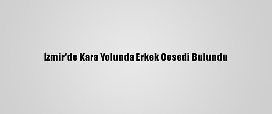 İzmir'de Kara Yolunda Erkek Cesedi Bulundu