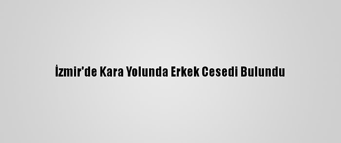 İzmir'de Kara Yolunda Erkek Cesedi Bulundu