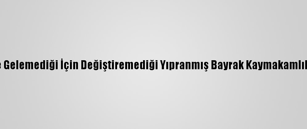 Memleketine Gelemediği İçin Değiştiremediği Yıpranmış Bayrak Kaymakamlıkça Yenilendi