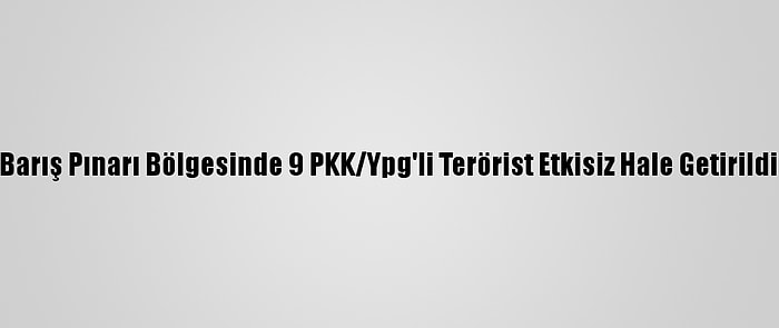 Barış Pınarı Bölgesinde 9 PKK/Ypg'li Terörist Etkisiz Hale Getirildi