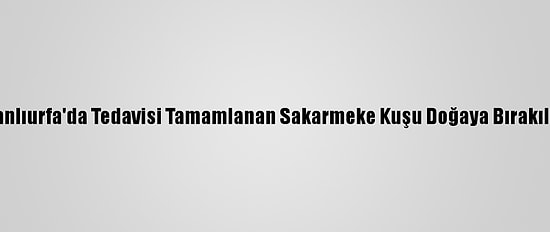 Şanlıurfa'da Tedavisi Tamamlanan Sakarmeke Kuşu Doğaya Bırakıldı
