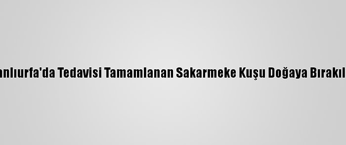 Şanlıurfa'da Tedavisi Tamamlanan Sakarmeke Kuşu Doğaya Bırakıldı