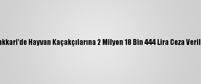 Hakkari'de Hayvan Kaçakçılarına 2 Milyon 18 Bin 444 Lira Ceza Verildi