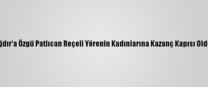 Iğdır'a Özgü Patlıcan Reçeli Yörenin Kadınlarına Kazanç Kapısı Oldu