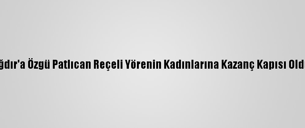 Iğdır'a Özgü Patlıcan Reçeli Yörenin Kadınlarına Kazanç Kapısı Oldu