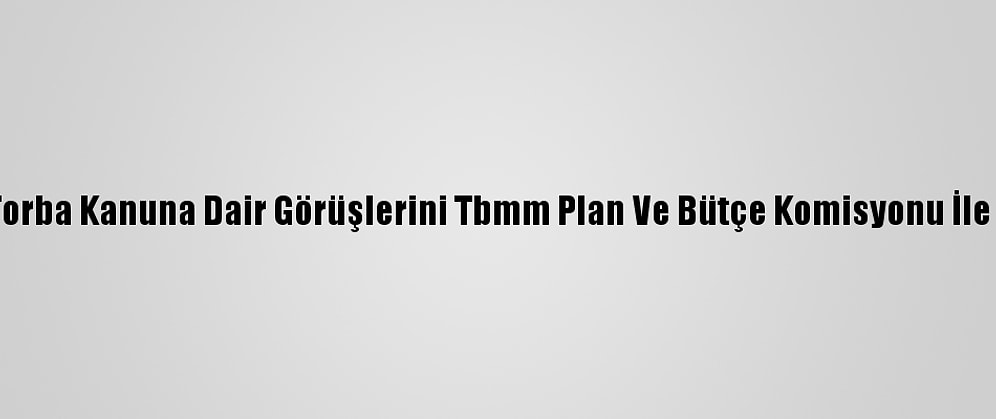 Türk-İş Torba Kanuna Dair Görüşlerini Tbmm Plan Ve Bütçe Komisyonu İle Paylaştı:
