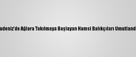 Karadeniz'de Ağlara Takılmaya Başlayan Hamsi Balıkçıları Umutlandırdı