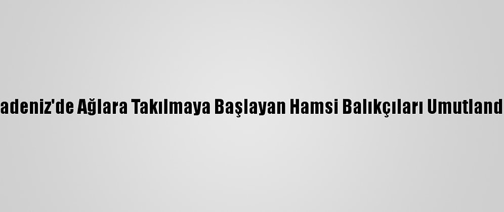 Karadeniz'de Ağlara Takılmaya Başlayan Hamsi Balıkçıları Umutlandırdı