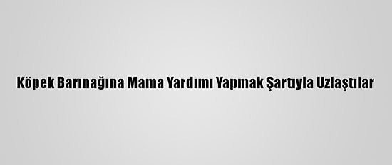Köpek Barınağına Mama Yardımı Yapmak Şartıyla Uzlaştılar