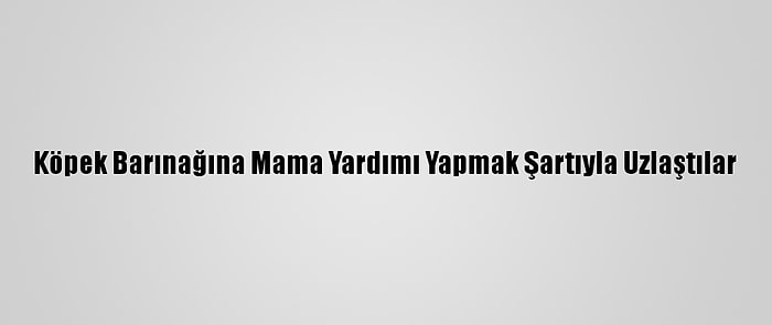 Köpek Barınağına Mama Yardımı Yapmak Şartıyla Uzlaştılar