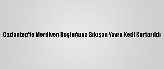 Gaziantep'te Merdiven Boşluğuna Sıkışan Yavru Kedi Kurtarıldı