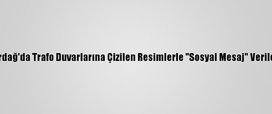 Tekirdağ'da Trafo Duvarlarına Çizilen Resimlerle "Sosyal Mesaj" Verilecek